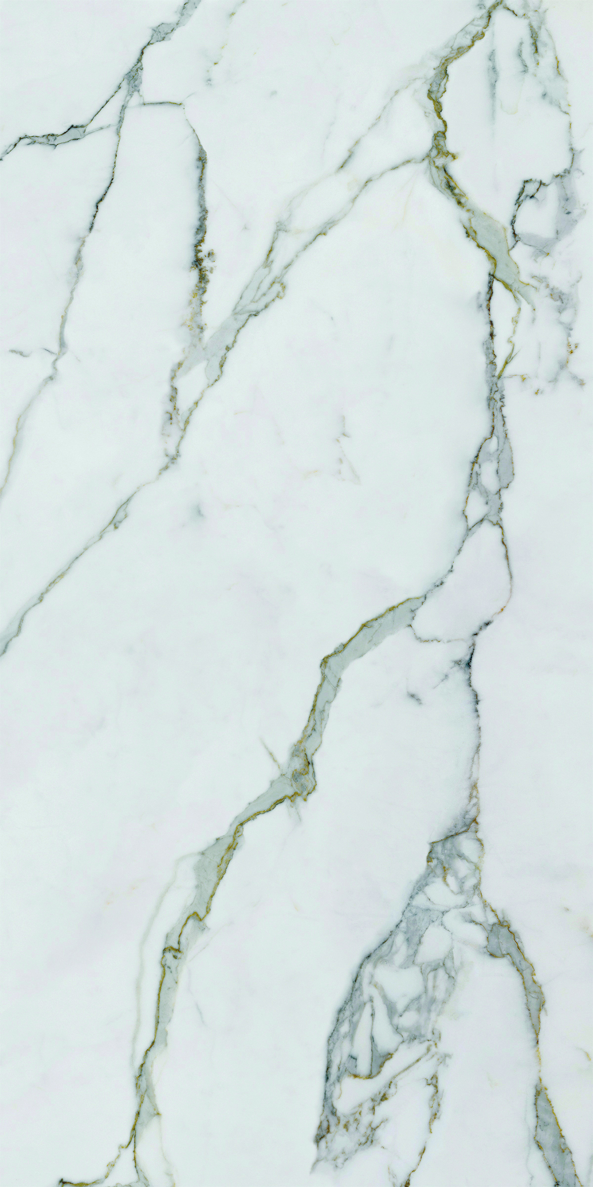 Calacatta Gold Porcelain Design in Australia
