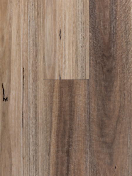 6.5mm-Hybrid-91102-QLD-Spotted-Gum-Swatch